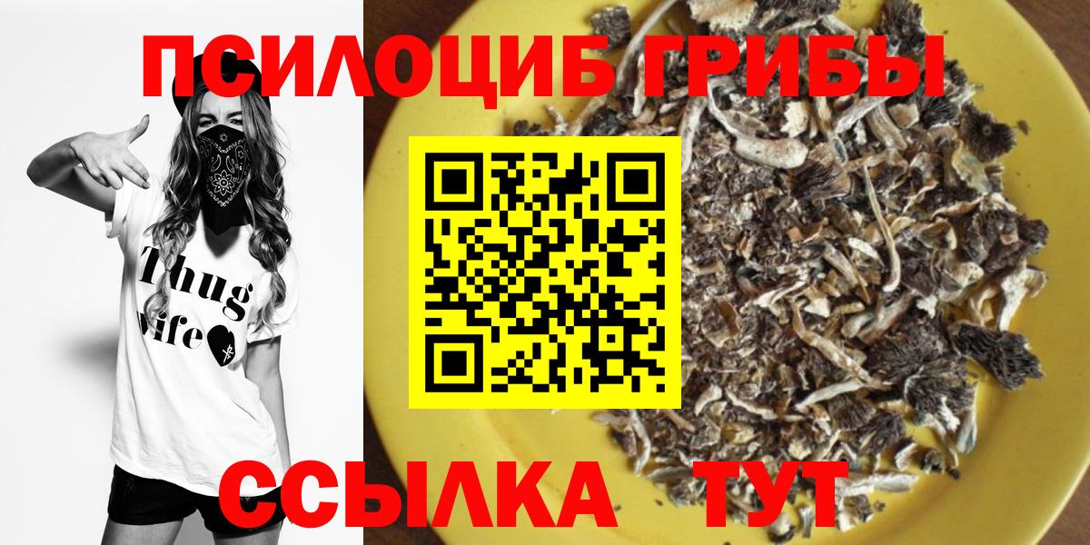 Псилоцибиновые грибы мицелий Кстово